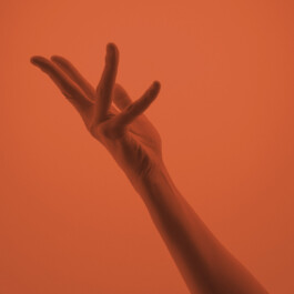 Metamorphose présente Rooting Corporel dans sa gestuelle 